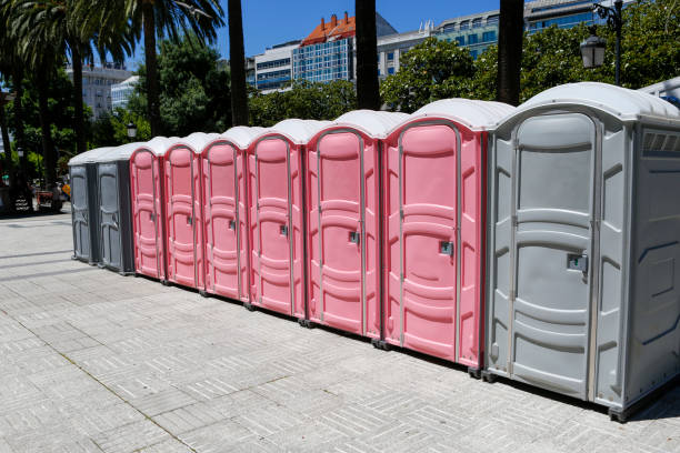 Types of Portable Toilets We Offer in Weston Lakes, TX